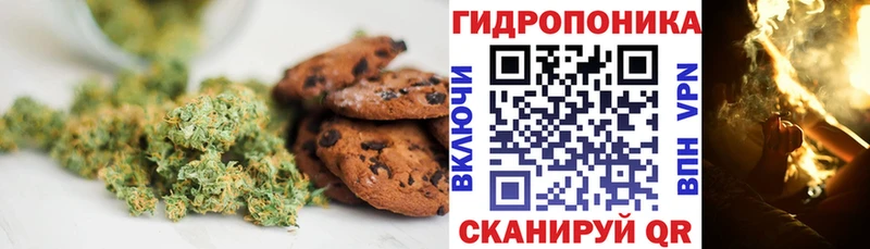 Canna-Cookies конопля даркнет сайт Лаишево
