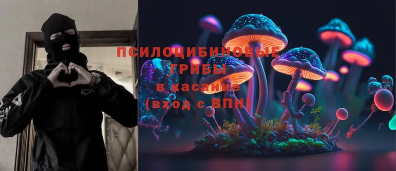 Псилоцибиновые грибы Psilocybe  hydra   мориарти формула  Лаишево 