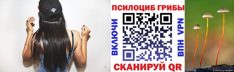 Псилоцибиновые грибы Psilocybe  Лаишево 